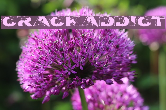 Crackaddict Font examples
