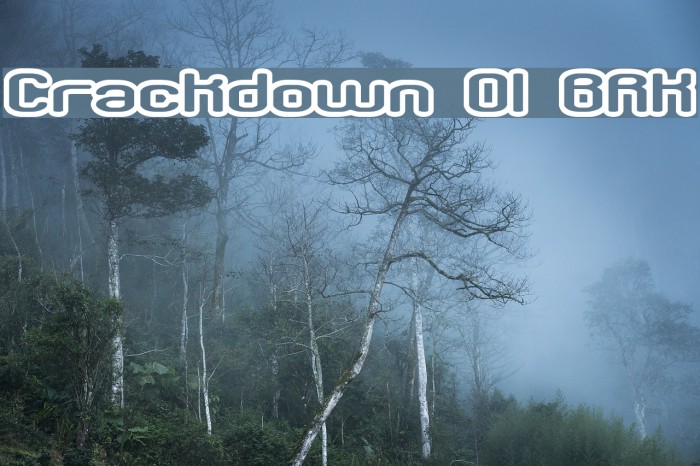 Crackdown O1 BRK フォント examples