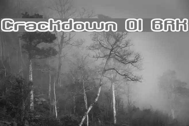 Crackdown O1 BRK Font examples