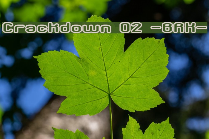 Crackdown O2 -BRK- Font examples