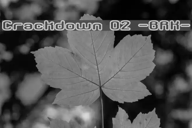 Crackdown O2 -BRK- Font examples