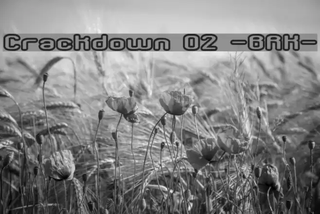 Crackdown O2 -BRK- Font examples