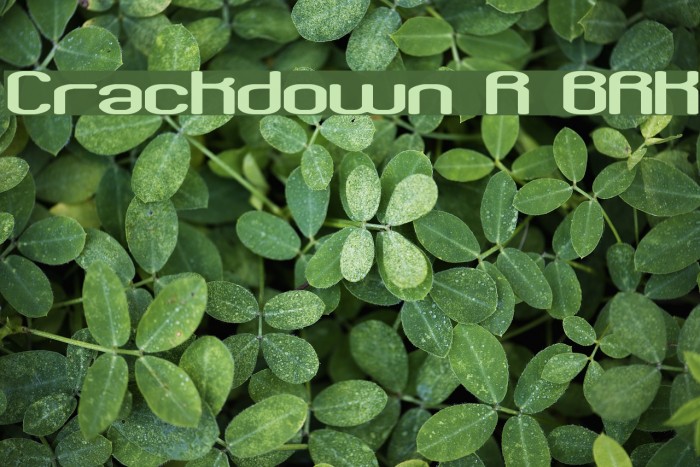 Crackdown R BRK Font examples