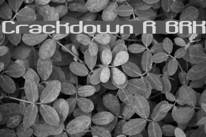 Crackdown R BRK Schriftart examples