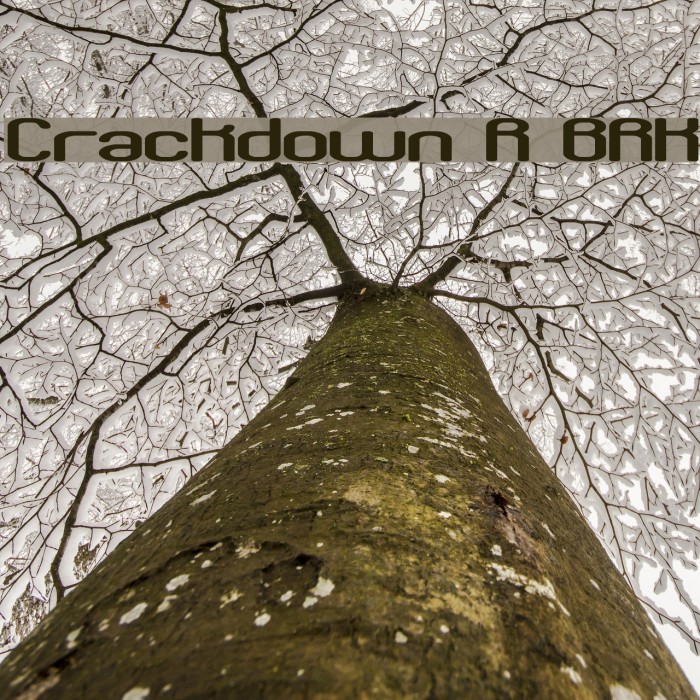 Crackdown R BRK Font examples