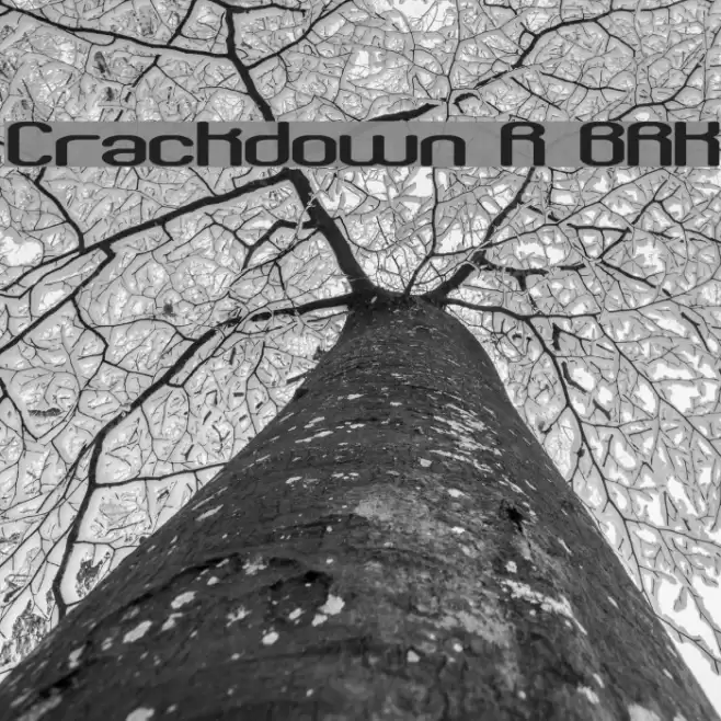 Crackdown R BRK Schriftart examples