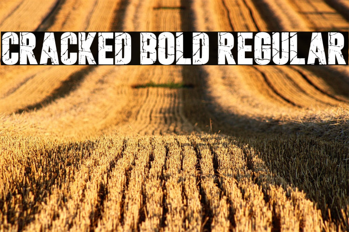 Cracked Bold Regular Example 2