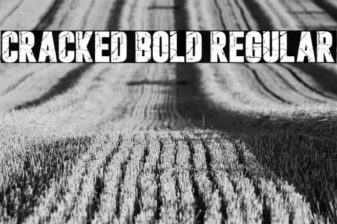 Cracked Bold Regular Caratteri examples