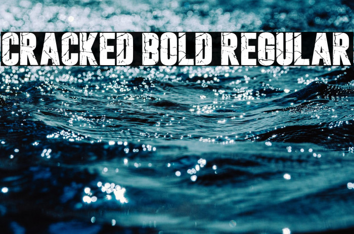 Cracked Bold Regular Example 3