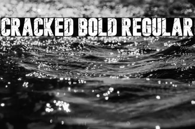 Cracked Bold Regular Caratteri examples