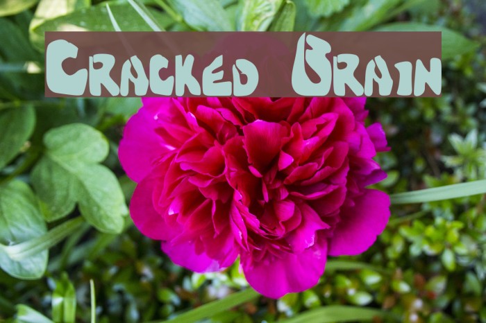 Cracked Brain Font examples