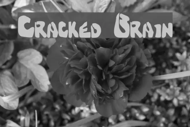 Cracked Brain Caratteri examples