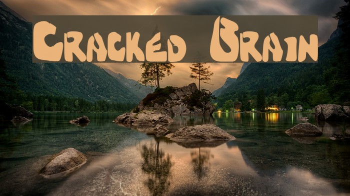 Cracked Brain Font examples