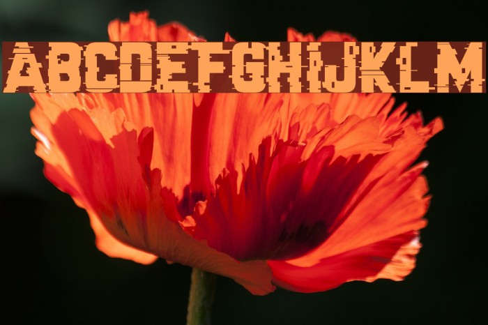 Cracked Code Font examples