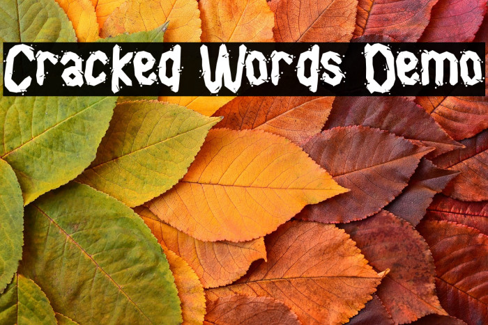 Cracked Words Demo Example 1