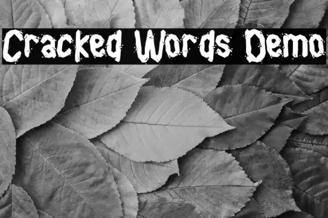 Cracked Words Demo Font examples