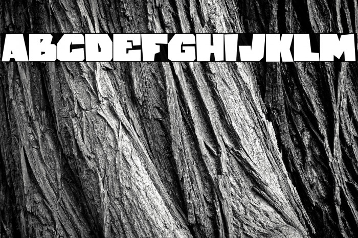 Cracked stone Example 1