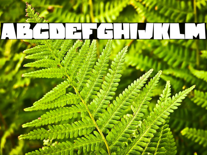 Cracked stone Example 2