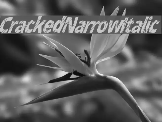 CrackedNarrowItalic Font examples