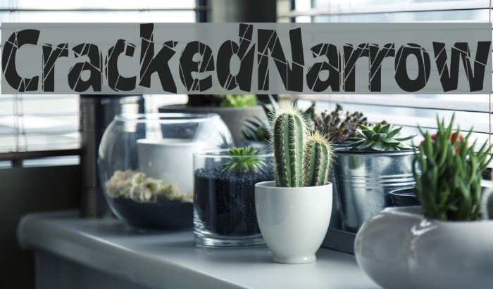 CrackedNarrow Example 3