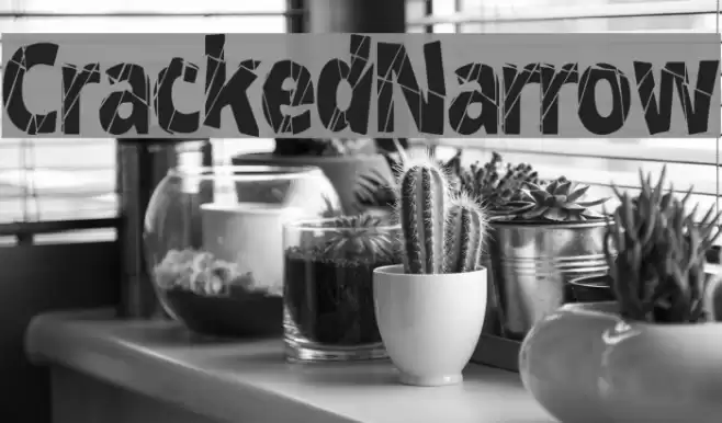CrackedNarrow Font examples