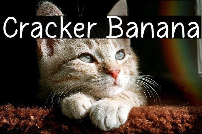Cracker Banana Example 1