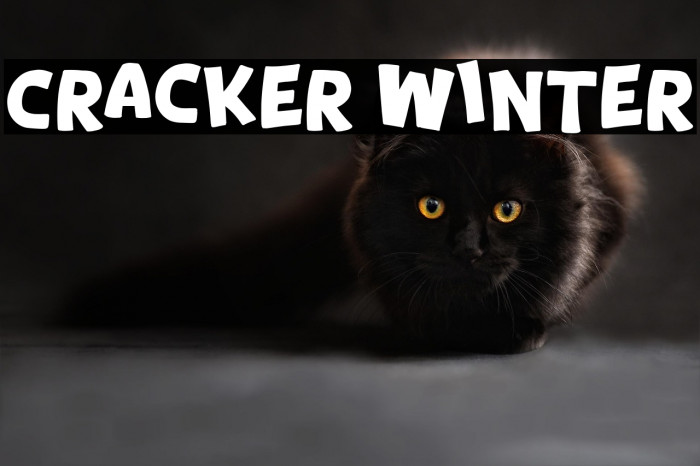 Cracker Winter Example 1