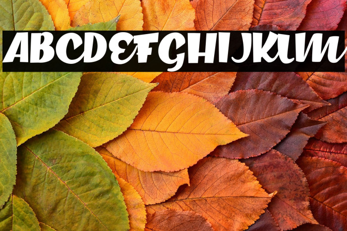 Crackerdown Personal Use Regular Example 2