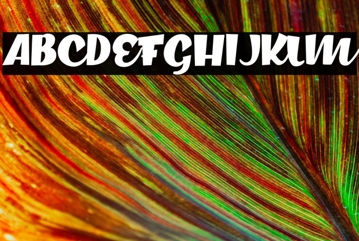 Crackerdown Personal Use Regular Example 3