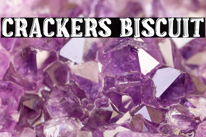 Crackers Biscuit Example 3