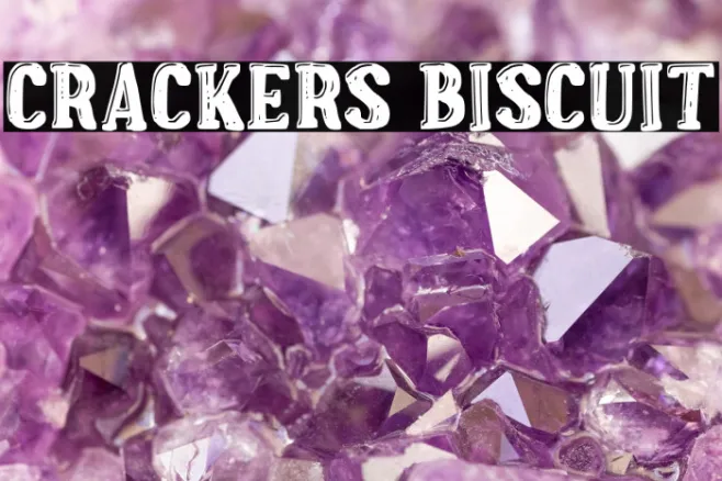 Crackers Biscuit Example 3