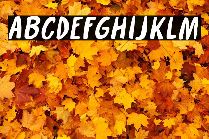 Crackers Demo Example 2