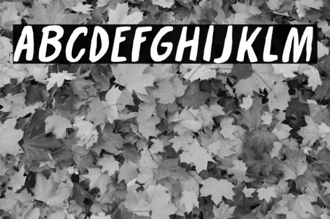 Crackers Demo Font examples