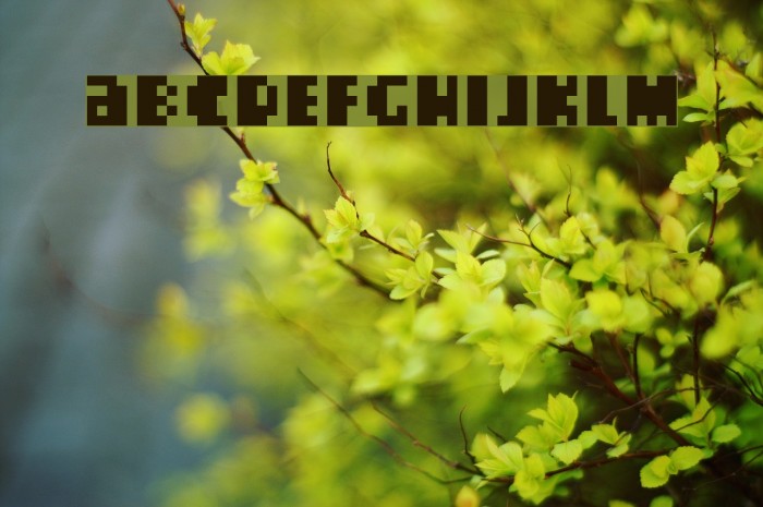 Crackers Regular Schriftart examples