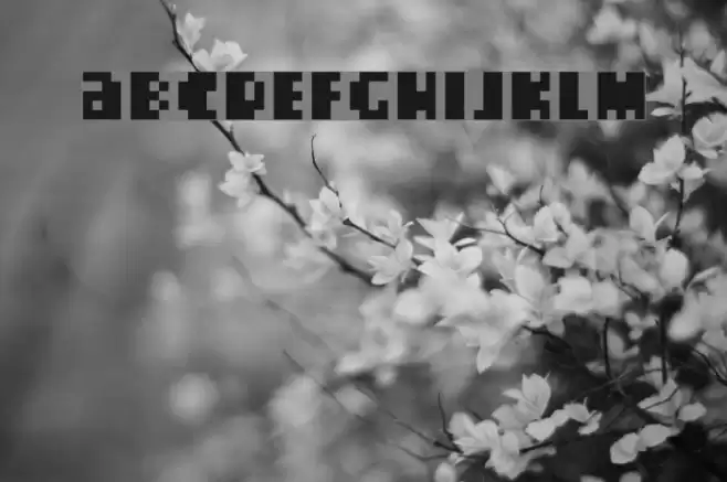 Crackers Regular Font examples