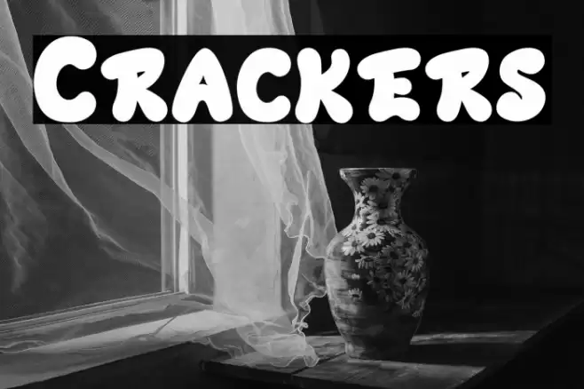 Crackers Polices examples