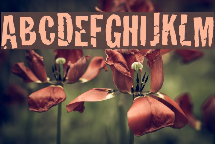 Crackhouse Example 1