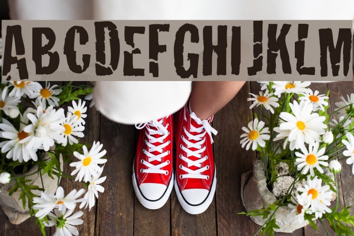 Crackhouse Example 2