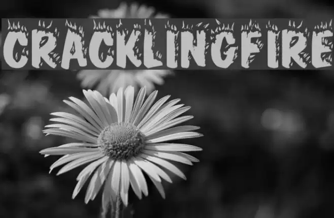 CracklingFire Font examples