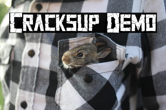 Cracksup Demo Example 1