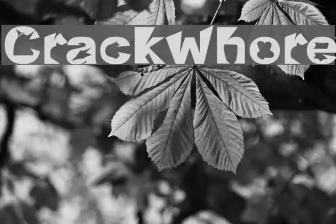 Crackwhore Font examples