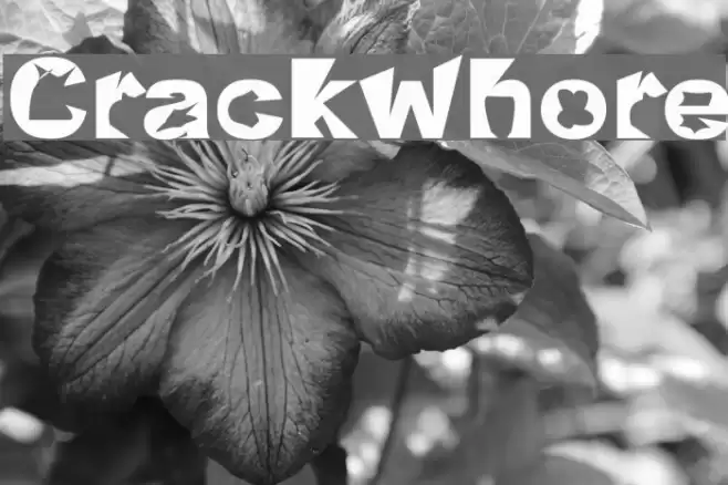 Crackwhore Font examples