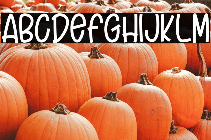 Craft Holic Example 1