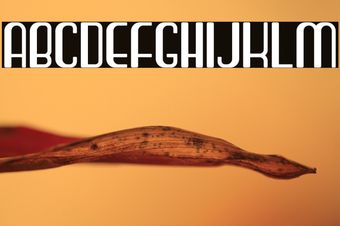 Craft Lovers Example 2