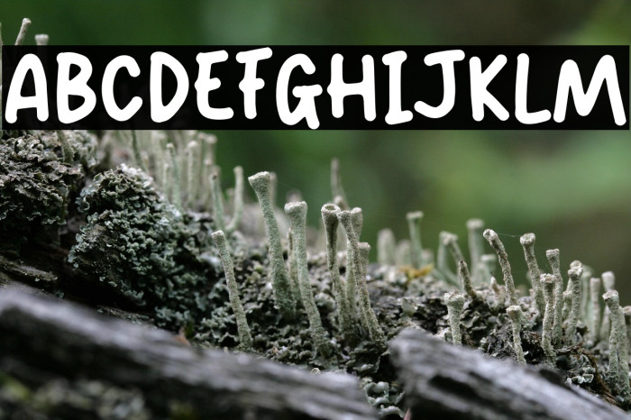 Craft Vintage Example 2