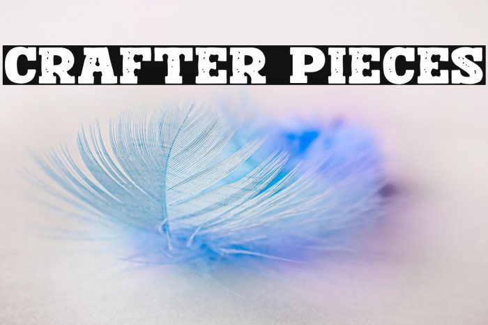 Crafter Pieces Example 2