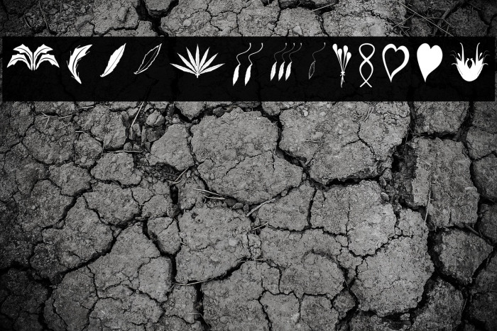 CraftersFlowers Example 2