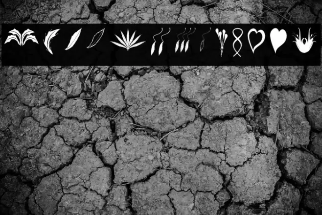 CraftersFlowers Font examples