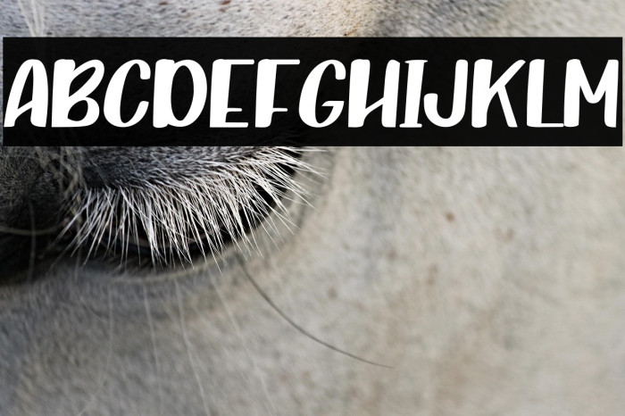 CraftingIslandRegular Example 3