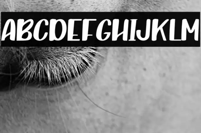 CraftingIslandRegular Font examples